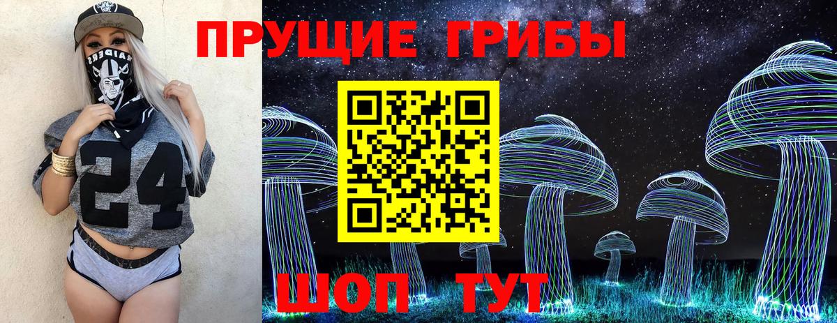 Псилоцибиновые грибы Cubensis Сосновый Бор