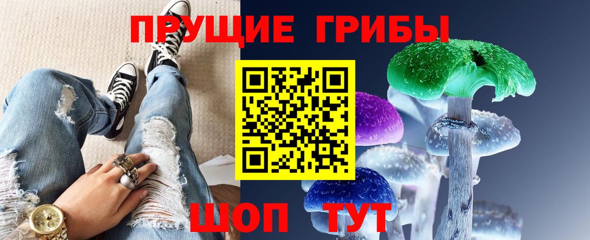 Сосновый Бор  Галлюциногенные грибы Psilocybine cubensis  Вход с VPN  Галлюциногенные грибы MAGIC MUSHROOMS 